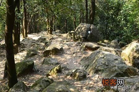 广州五一的时候去哪里玩最有意思？