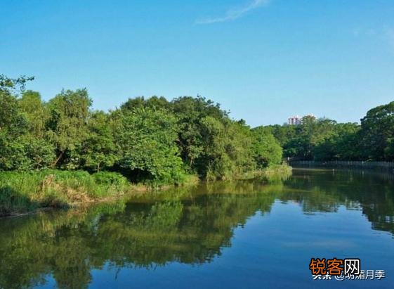 广州有哪些公园？