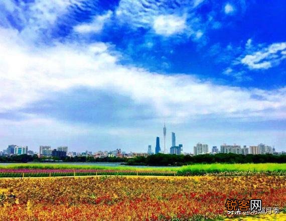 广州有哪些公园？