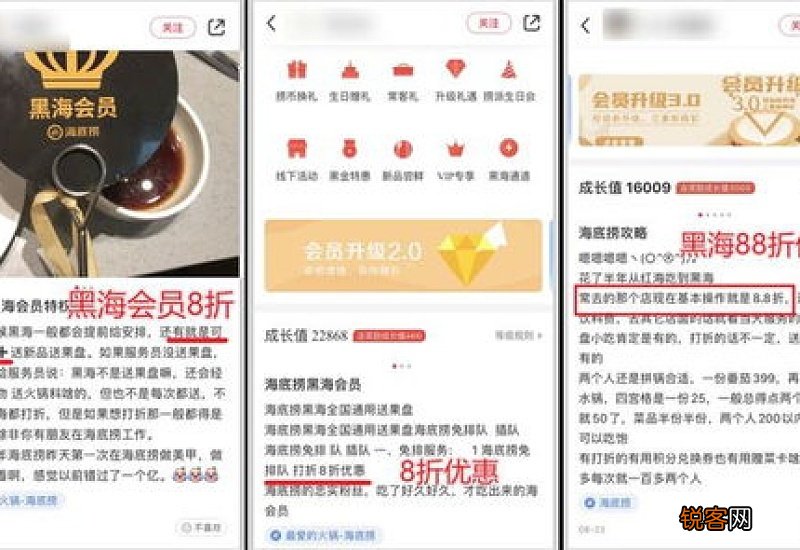 海底捞黑海会员什么意思哦
