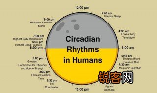 生物节律是什么意思 生物节律介绍