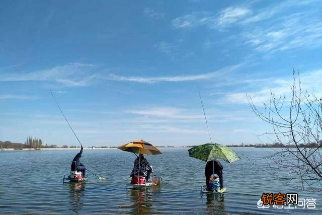 有哪些入门级、性价比比较好的台钓或路亚鱼竿推荐？