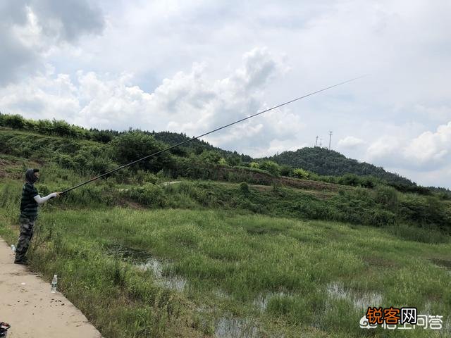 传统竿应该选什么牌子的？