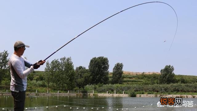 如何选一支好用的台钓竿？