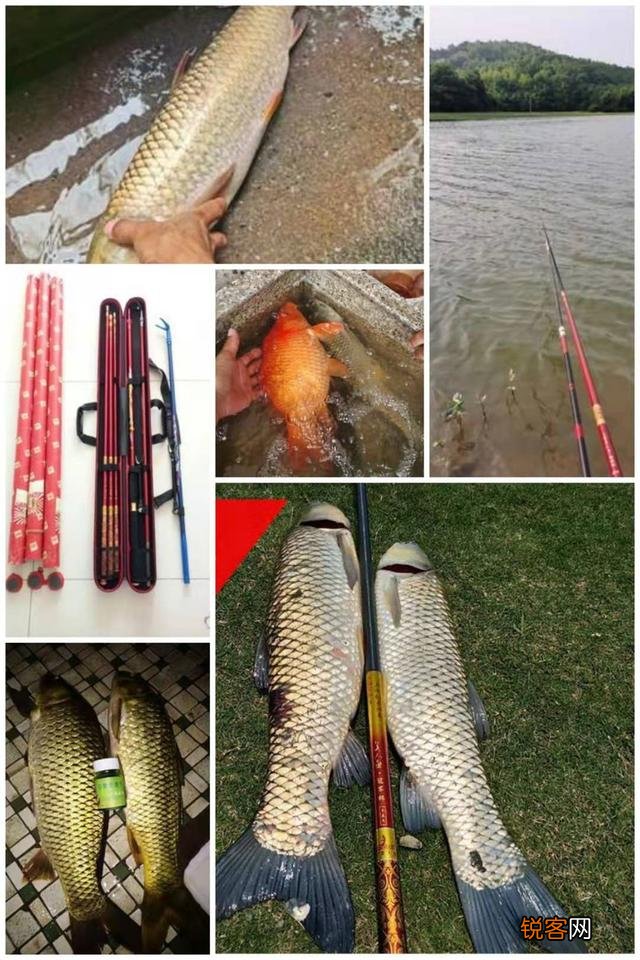 如何选一支好用的台钓竿？