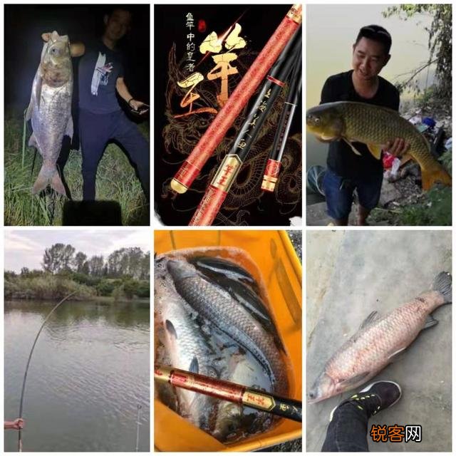 如何选一支好用的台钓竿？
