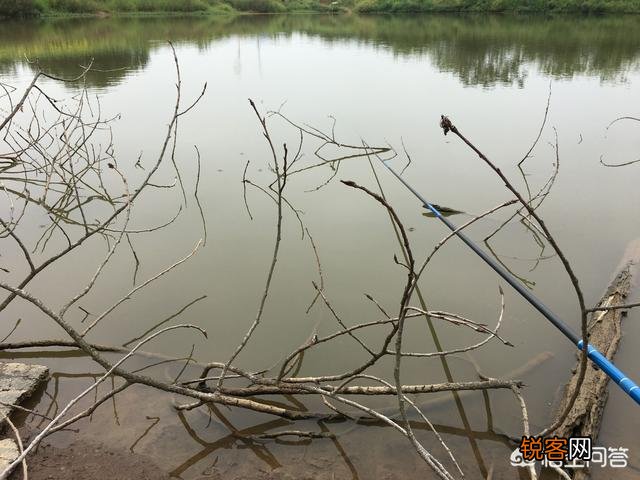 七星漂用什么鱼竿好？