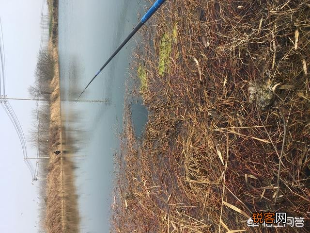 七星漂用什么鱼竿好？