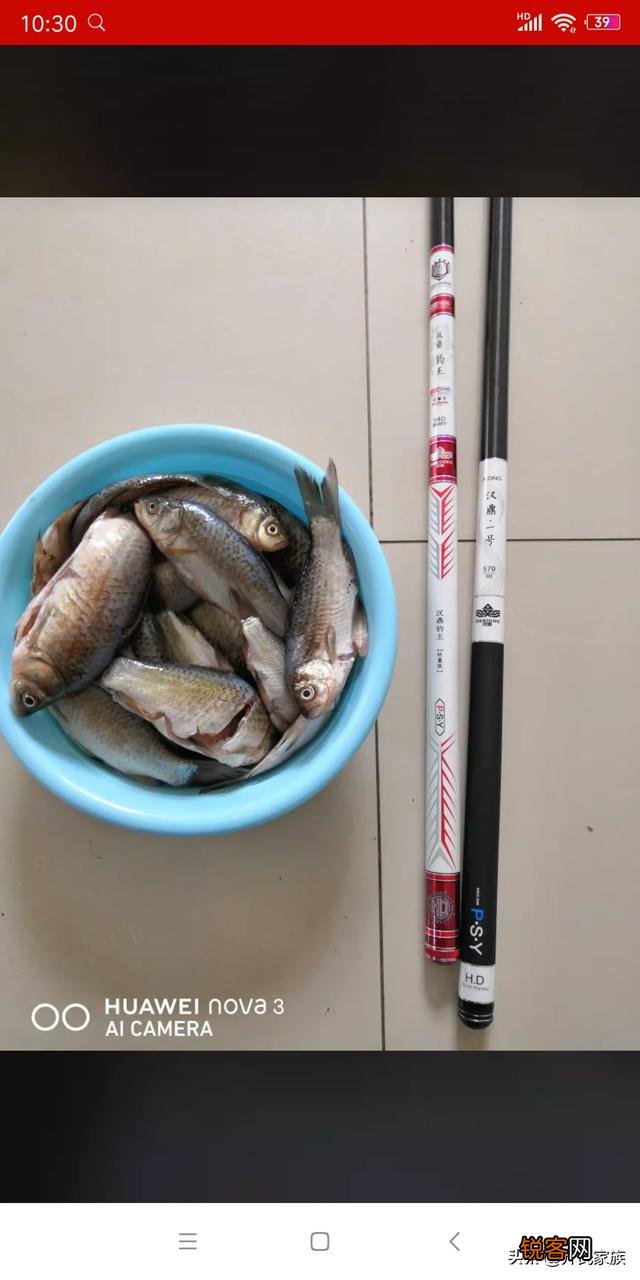 新手用台钓竿什么牌子好？