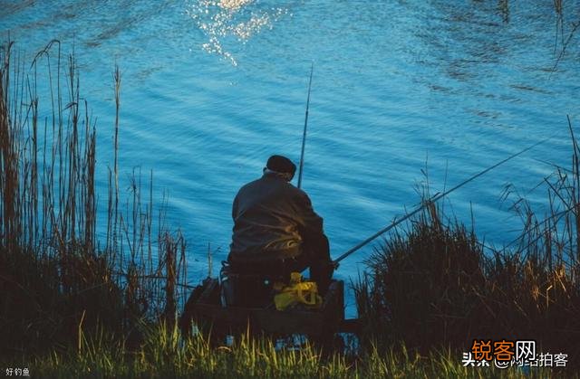 想入手一根3米6的超短手竿,哪个牌子好？