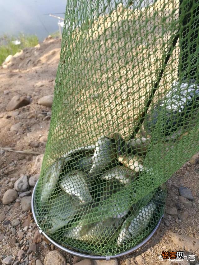 鱼竿7.2,预算300多,买什么牌子的好,有什么推荐吗？