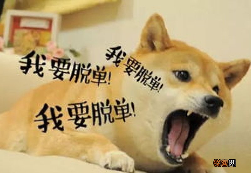 单身狗的朋友圈说说