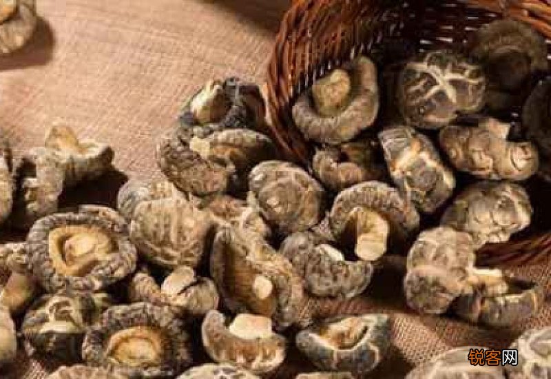 干香菇发霉了还能吃吗