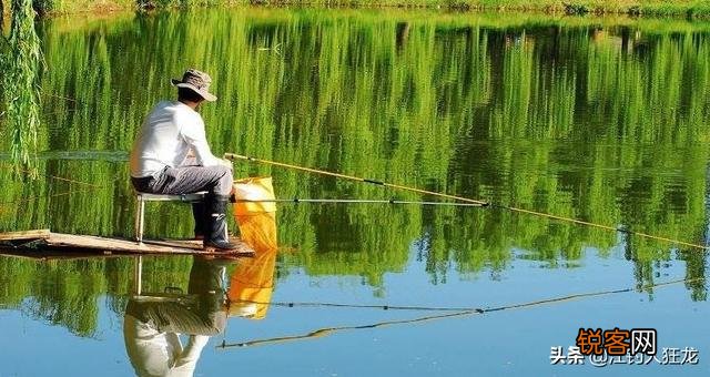 台钓你的主打鱼竿是几米的？为什么？