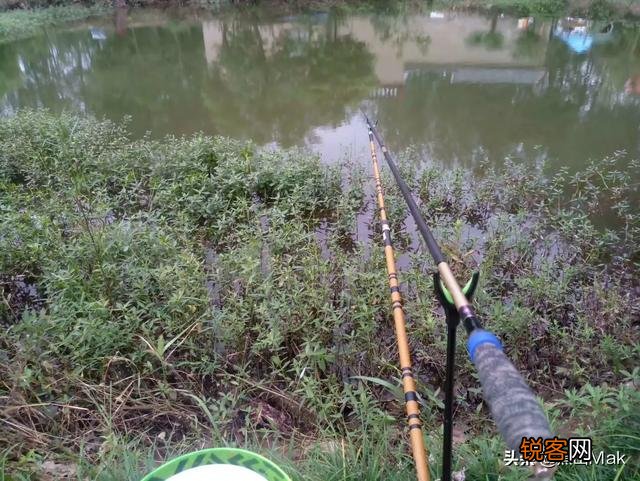 台钓你的主打鱼竿是几米的？为什么？