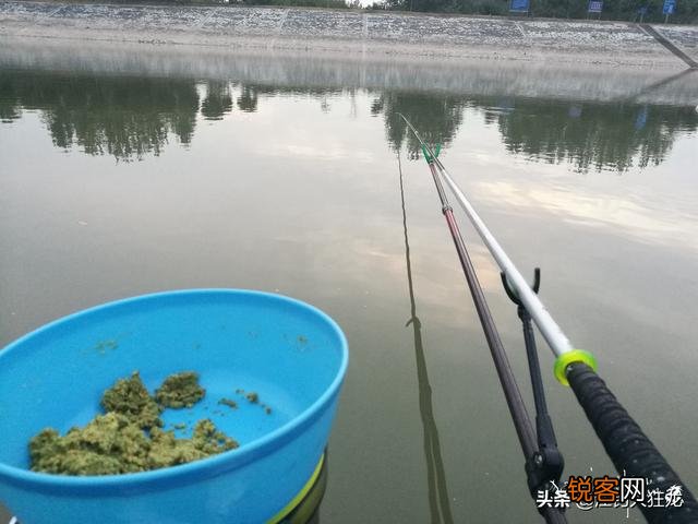 台钓你的主打鱼竿是几米的？为什么？