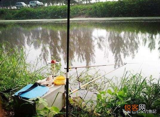 台钓你的主打鱼竿是几米的？为什么？