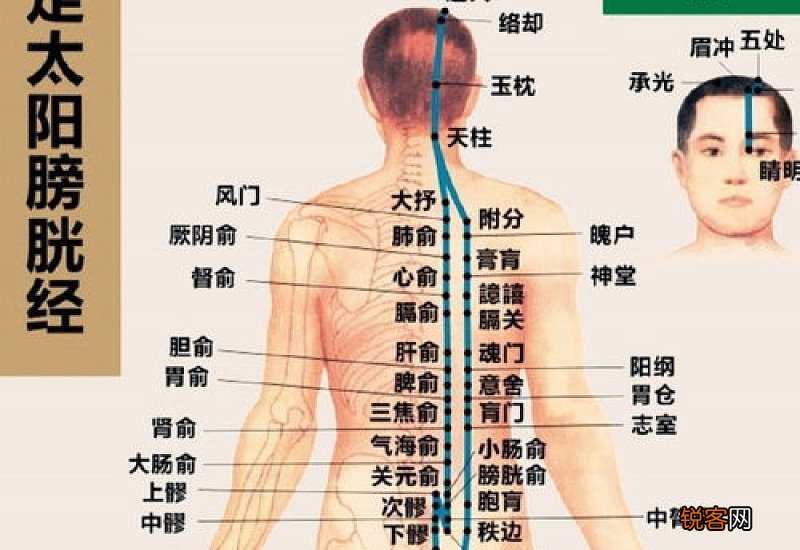 膀胱经不通的危害