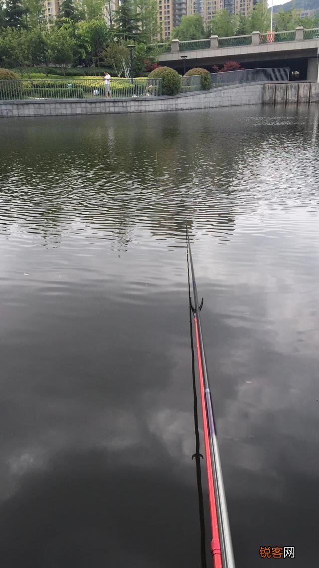 二百元左右台钓竿什么品牌性价比高？