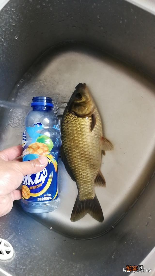 大家用过最好用的四米五台钓竿是什么？