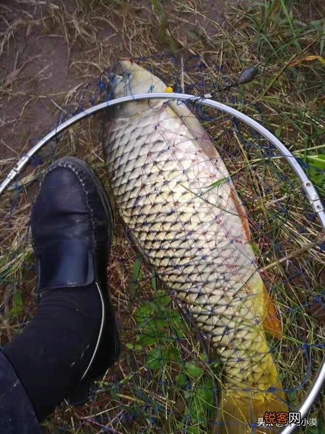 100-150克的坠 甩大鞭哪些牌子的鱼竿好？