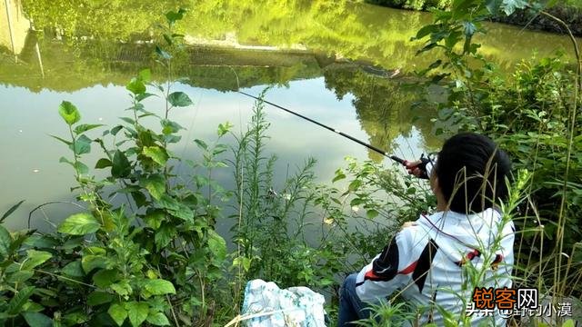 100-150克的坠 甩大鞭哪些牌子的鱼竿好？