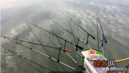 鱼竿种类有哪些?台钓用哪一种鱼竿好？