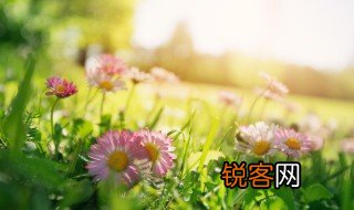 春天是什么 春天的简介