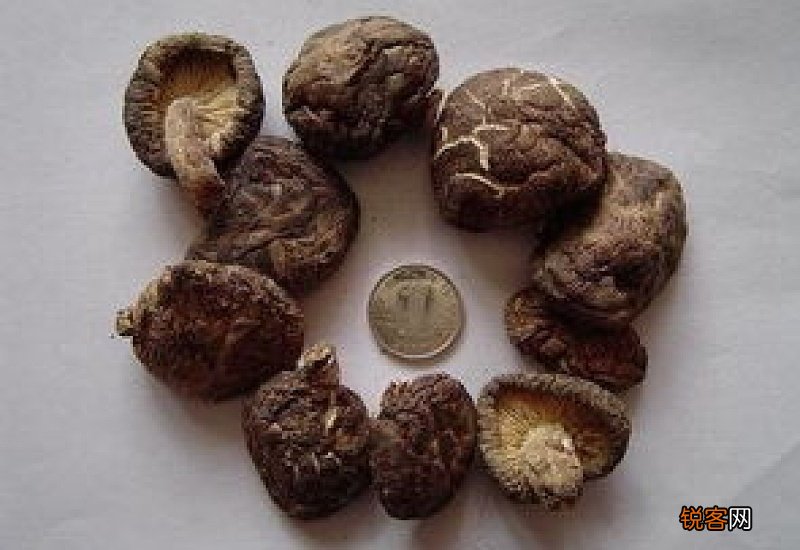 干香菇保质期多长时间