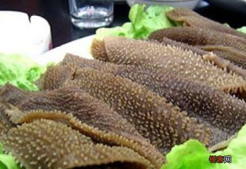 毛肚是什么动物身上的？毛肚的营养价值及功效与作用