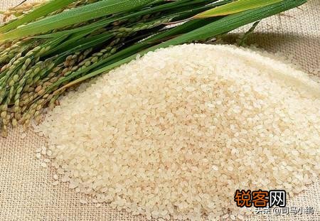 有什么暴利行业可以做？