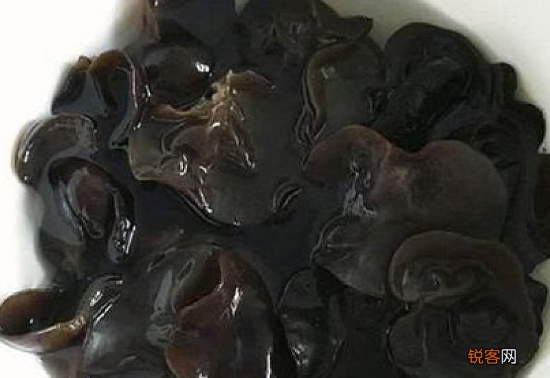 泡发木耳储存的正确方法