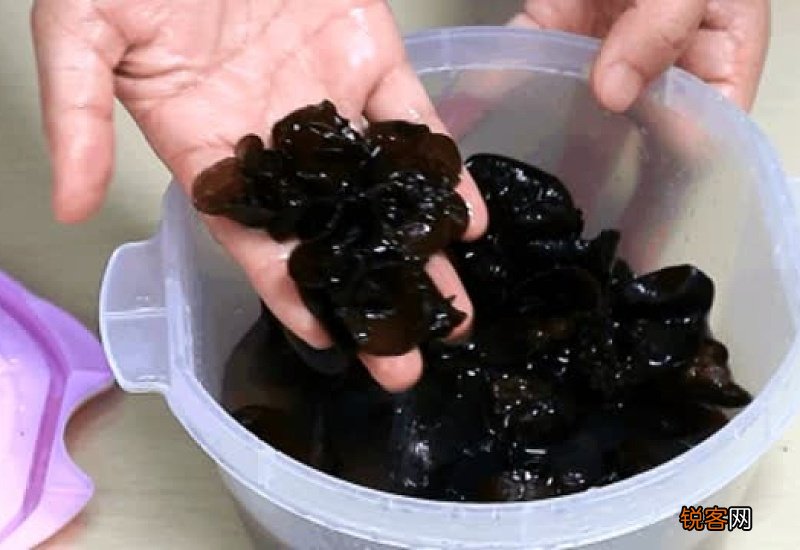 正确泡木耳方法