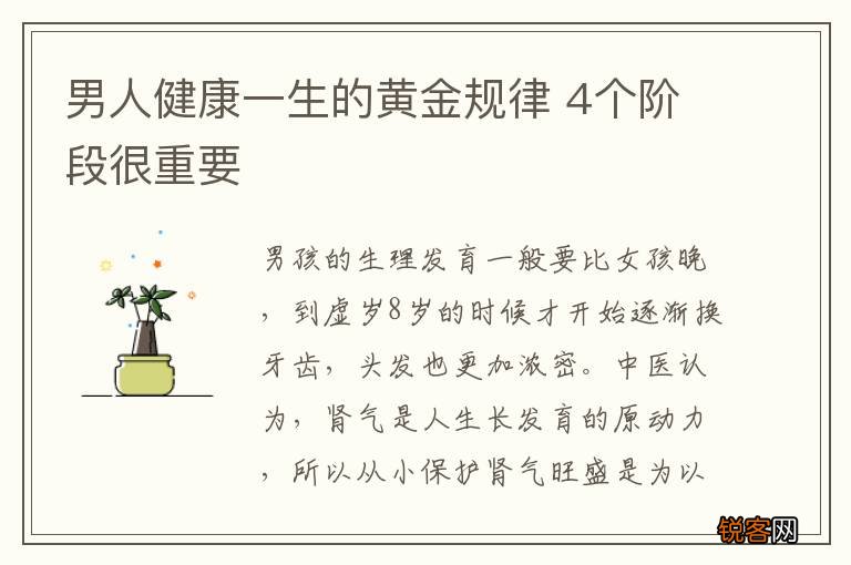 男人健康一生的黄金规律 4个阶段很重要