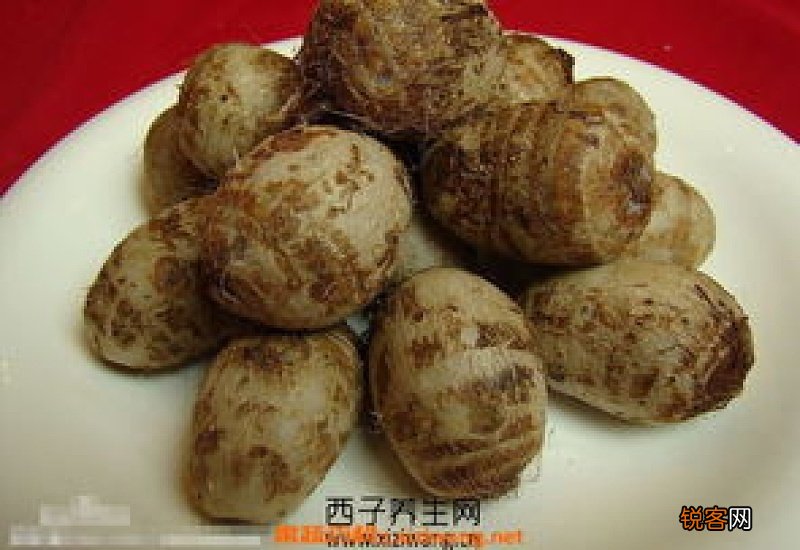 毛芋头的功效作用是什么 毛芋头的营养价值有哪些