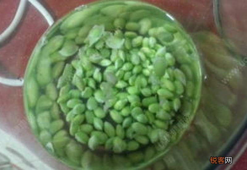 毛豆和黄豆一样吗 毛豆的营养功效是什么