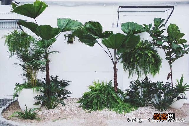 有没有判断脸型和推荐发型的设计师？