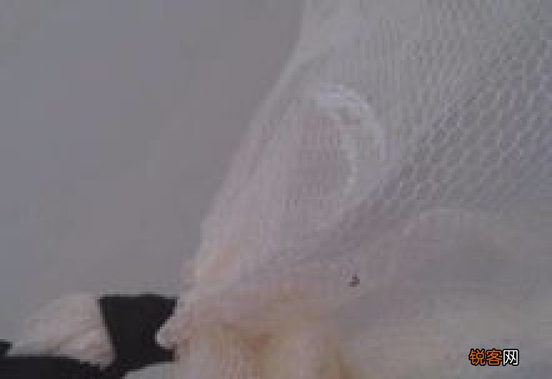 蚊帐有味道对人体有害吗?