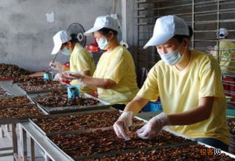 喂奶吃槟榔有什么影响