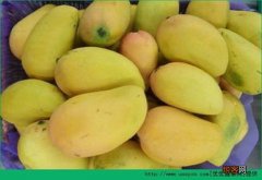 不属于发物的水果有哪些