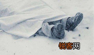 什么是冰葬视频 什么是冰葬