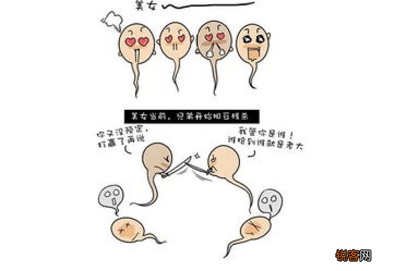 受孕的三个最佳时间点