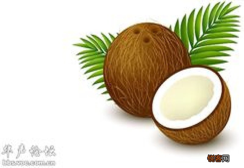 椰子怎么开口喝椰子汁
