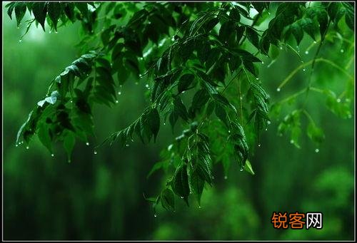 想写小说写不出怎么办？