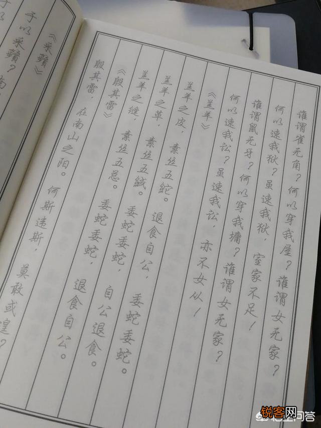 我不想干我现在看不到一丝希望的工作,想专职在家写文章和连载原创小说,如何？