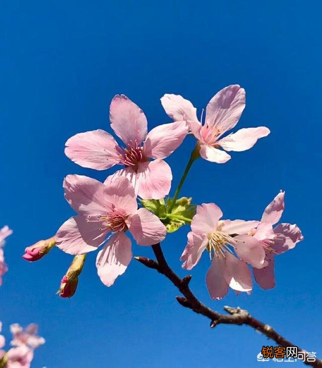 怎么戒掉看网文？