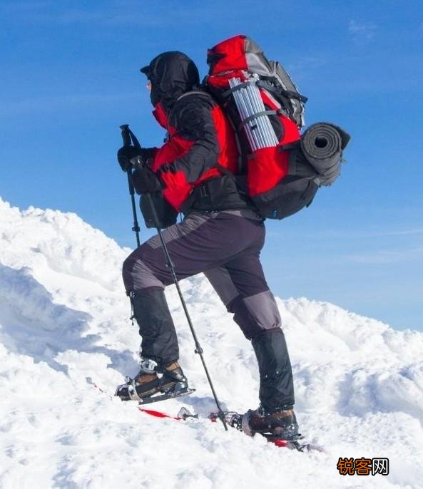 怎么戒掉看网文？