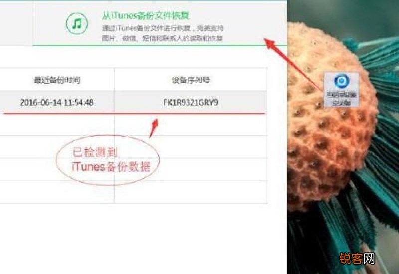 iPhone手机照片误删怎么恢复 iphone手机照片误删了怎么恢复