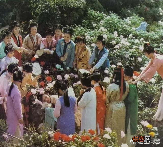 《红楼梦》怡红院里的海棠花有何寓意？