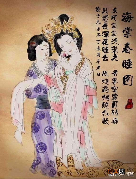 《红楼梦》怡红院里的海棠花有何寓意？